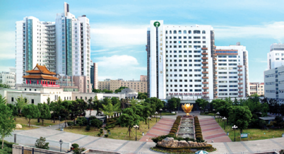 安徽省亳州市